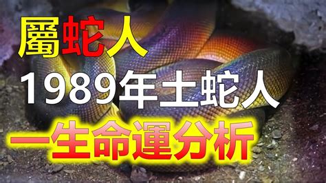 1989屬|【1989 屬相】驚！1989年生屬相大起底：蛇子蛇女命運揭秘